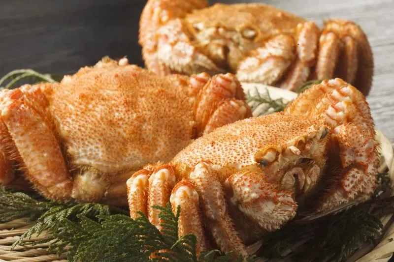 地元には最高の素材がたくさん・・・